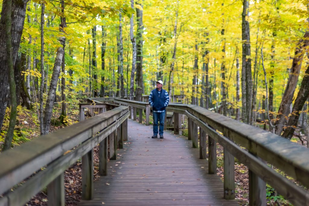 Man walks on a wooden path in a vibrant autumn forest, surrounded by yellow and green foliage.