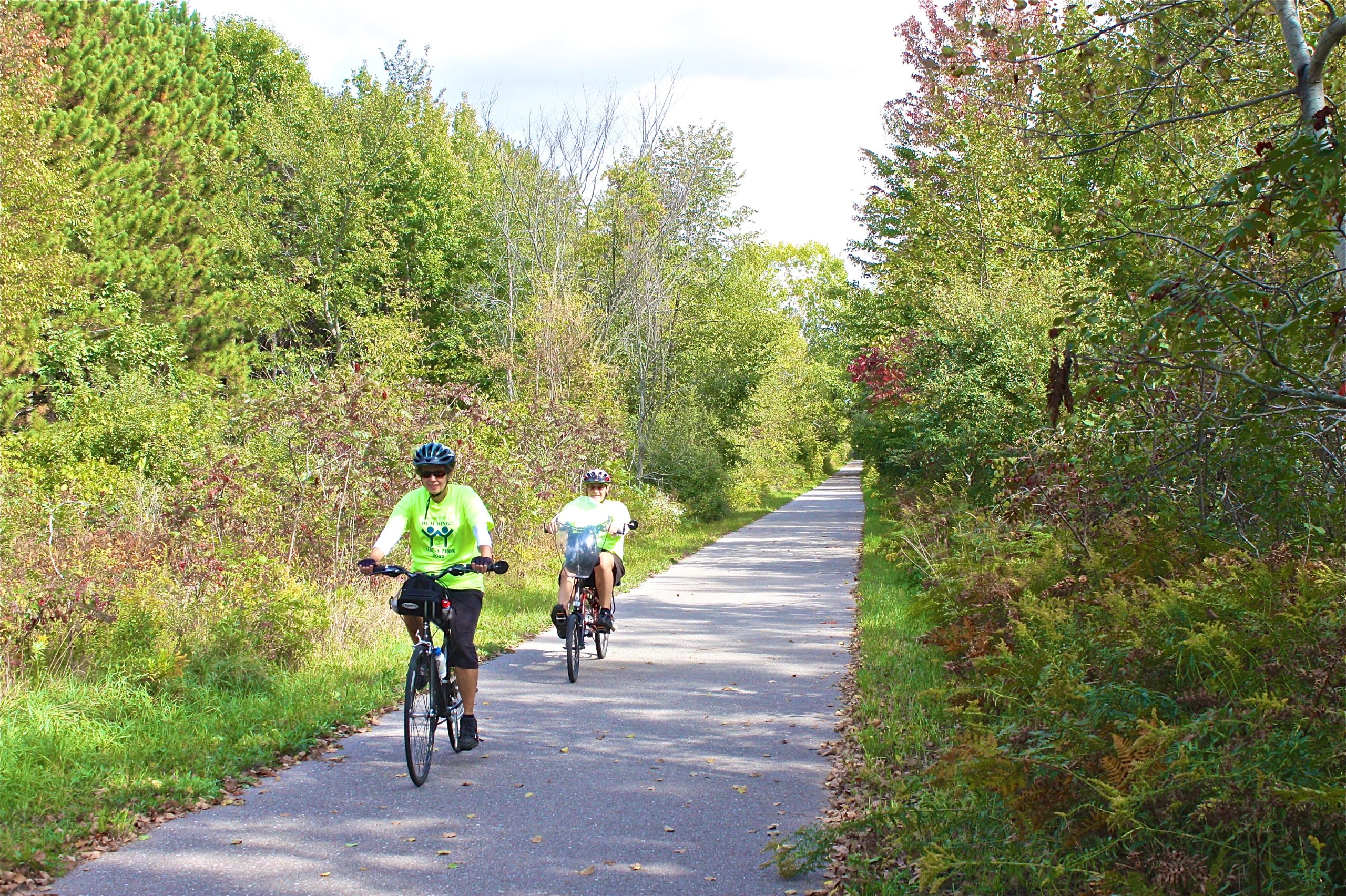 Cyclists enjoying a scenic bike trail surrounded by lush green trees on a sunny day.