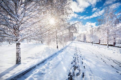 Snowy path lined with frosted trees under a bright blue sky and sun, footprints trailing through the fresh snow.