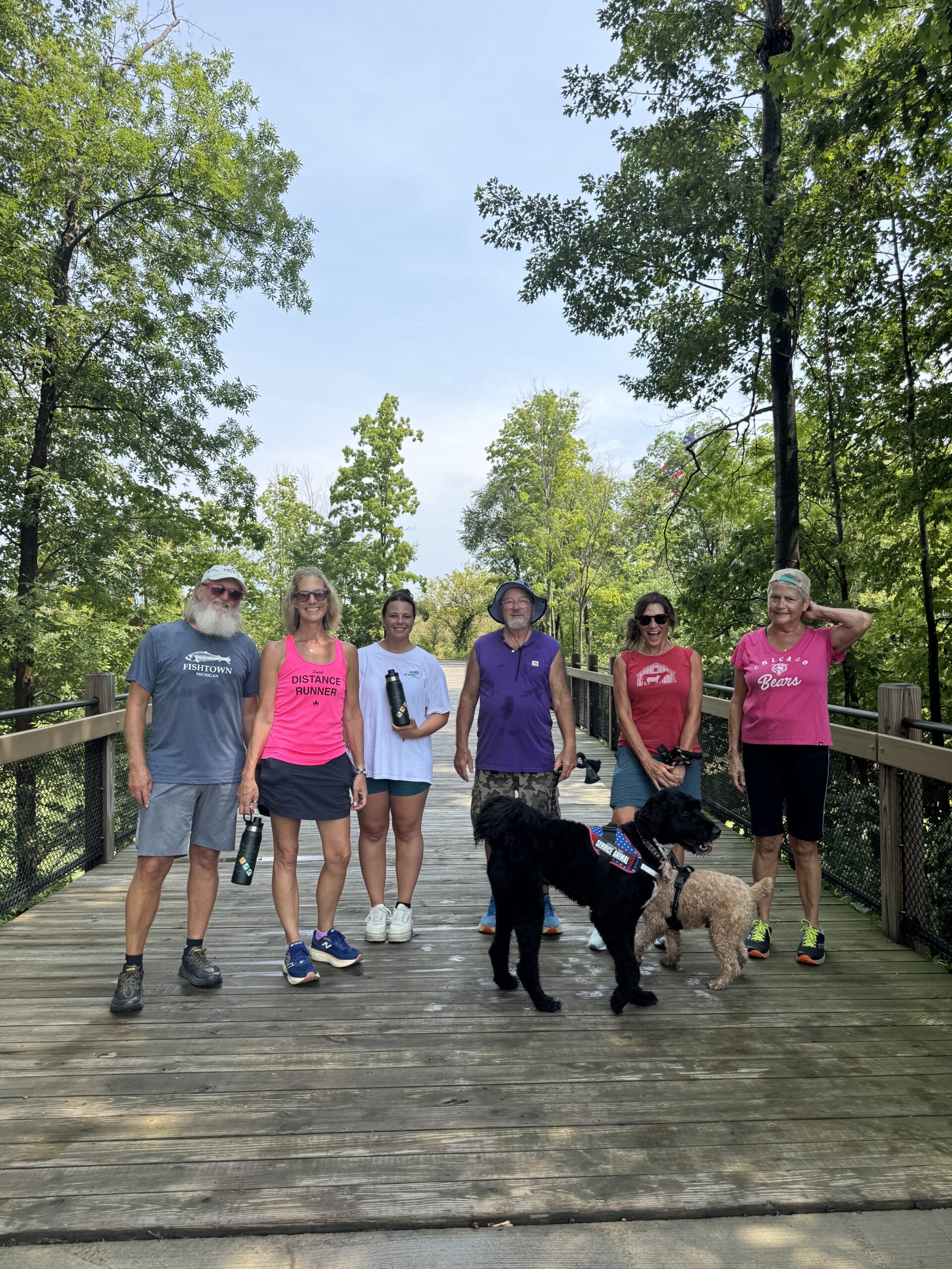 Group of people and two dogs enjoying a walk on a wooded bridge in sunny weather.